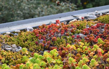 the cost of Dalchalm green roof installation
