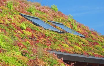 Dalchalm living roof systems