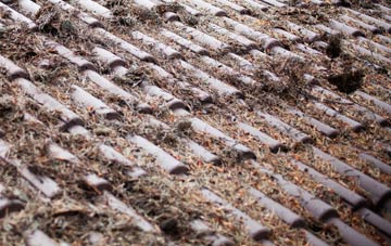 Dalchalm roof cleaning companies