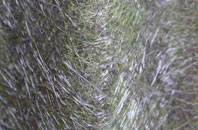 Dalchalm fibreglass roof work