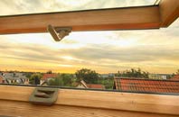 rated Dalchalm roof window companies